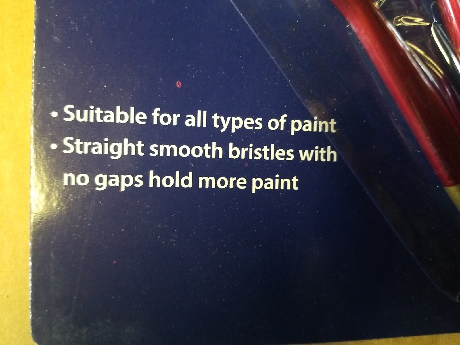 Evolve 10 PC Paint Brush Set Suitable For All Types Of Paint