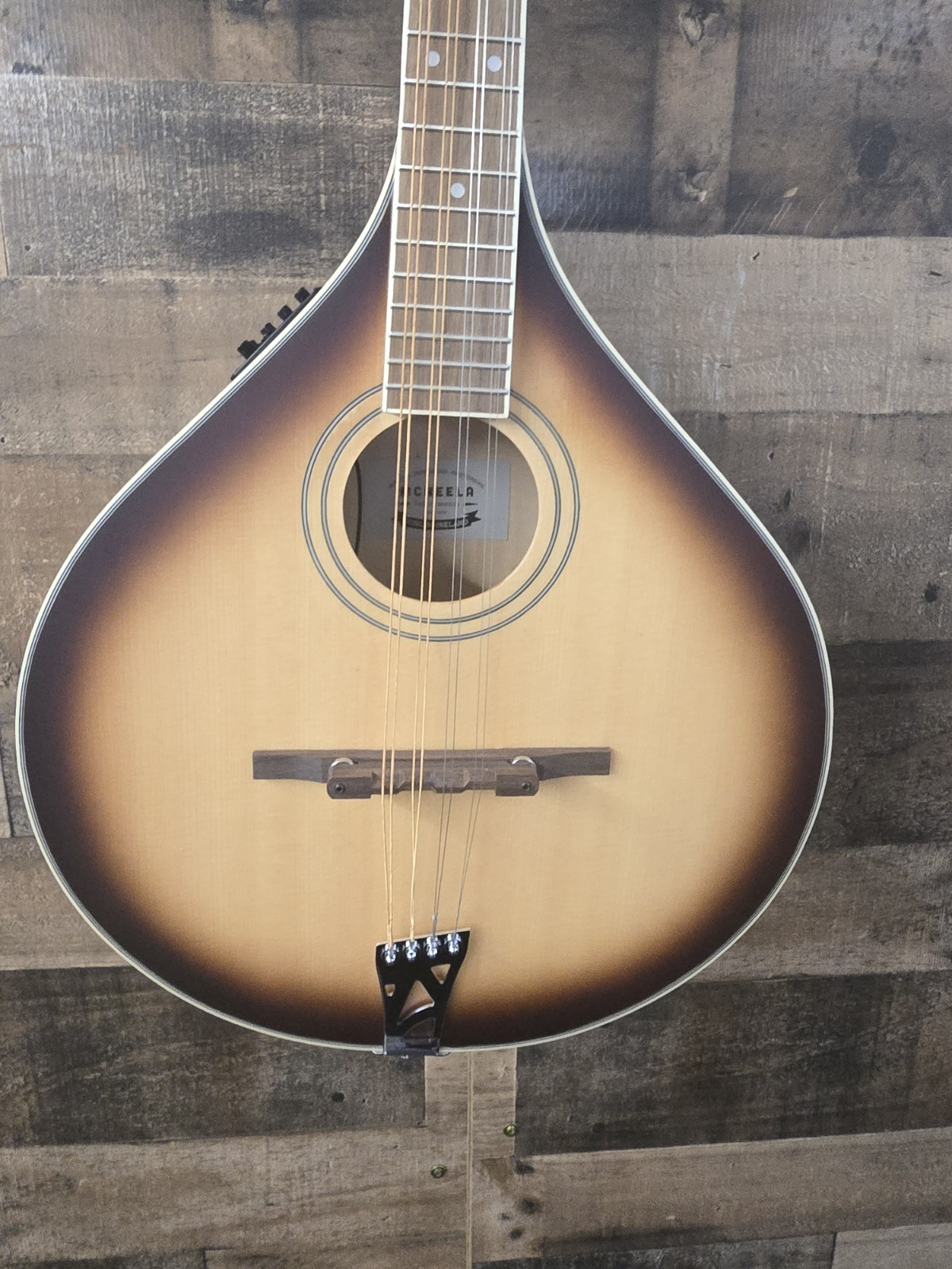 Mcneela ElectroMandolin Clean