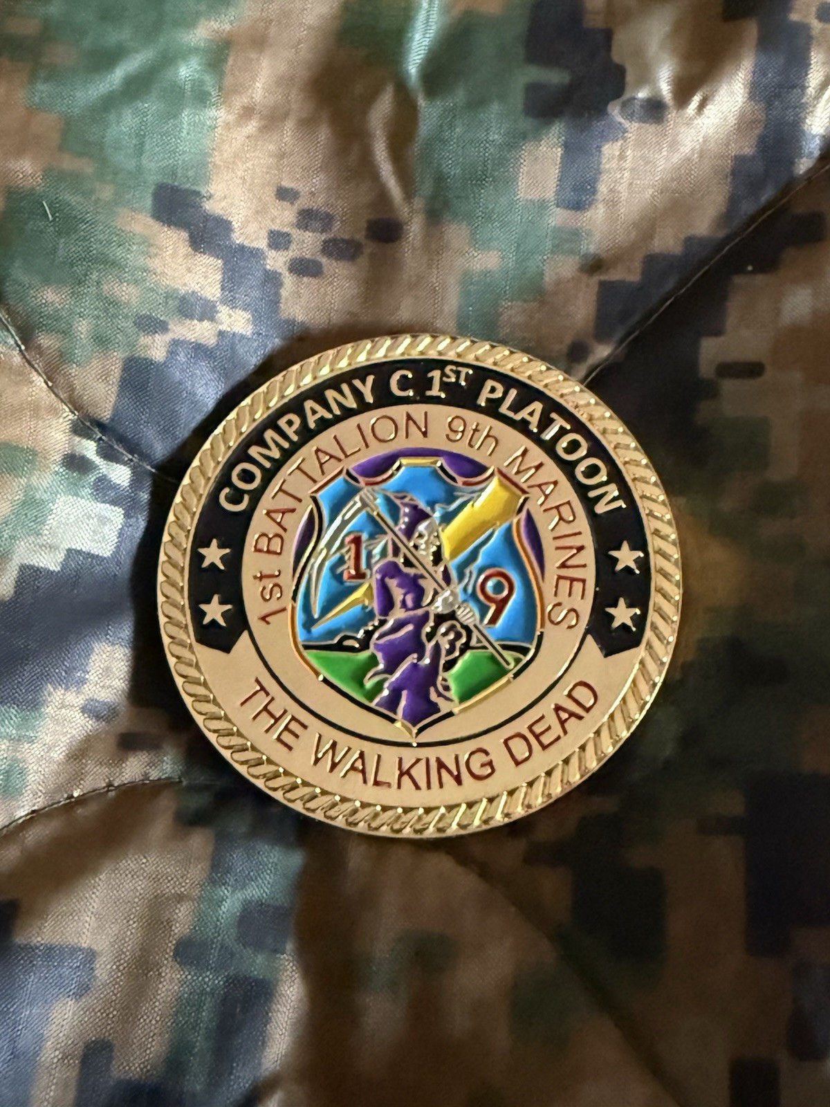 USMC 1/9 1st Battalion 9th Marines The Walking Dead Challenge Coin 🇺🇸