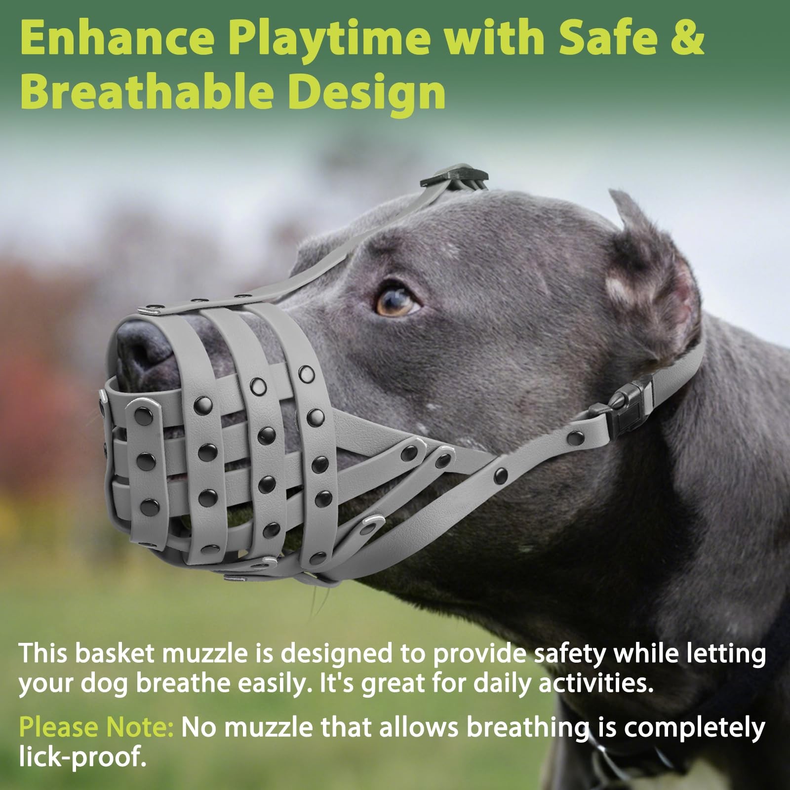 Mayerzon Pitbull Muzzle, Lightweight Basket M [Snout Cir: 9.75"-11"], Grey