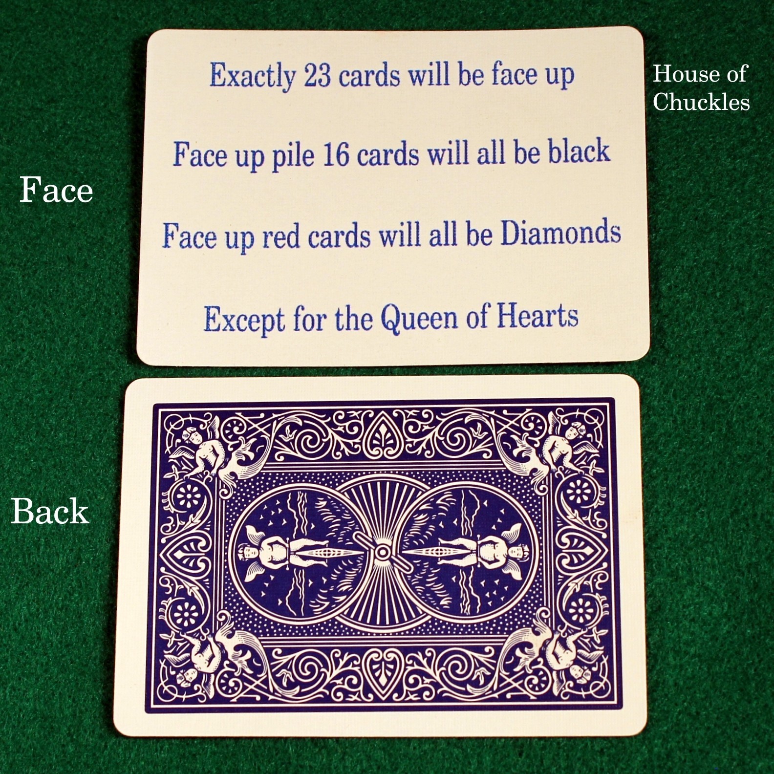 Shuffle Board Card, Bicycle Printed Gaff Card, Blue