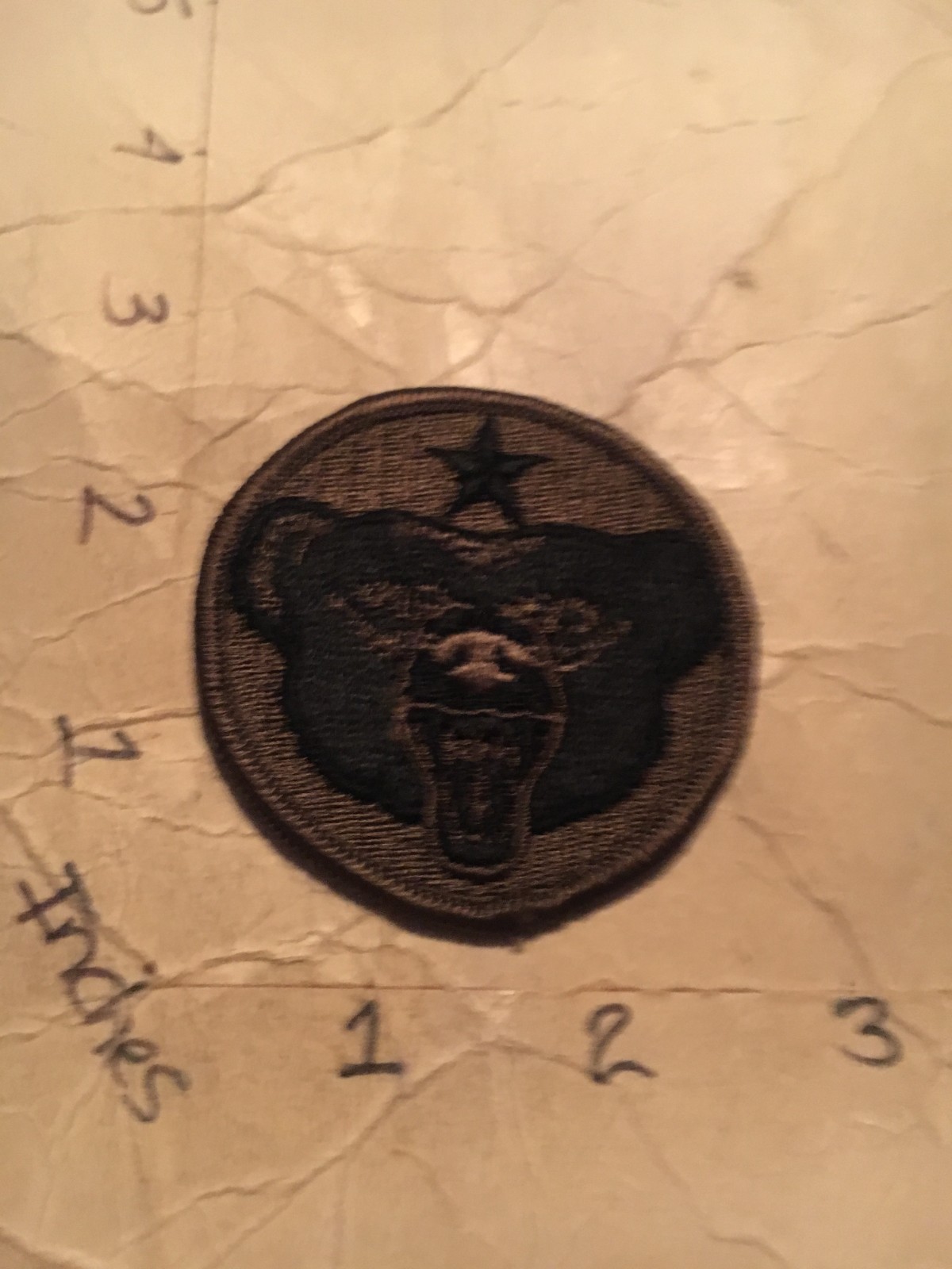 US Army Alaskan Department subdued m/e patch 10/9/25