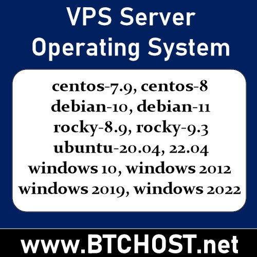 VPS Server 8 GB RAM 80 GB SSD 4 Core CPU
