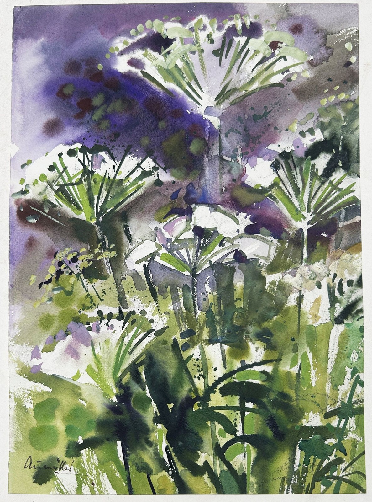 Franz Aumüller Signed Flower Still Life Watercolor Drawing, 20th Century