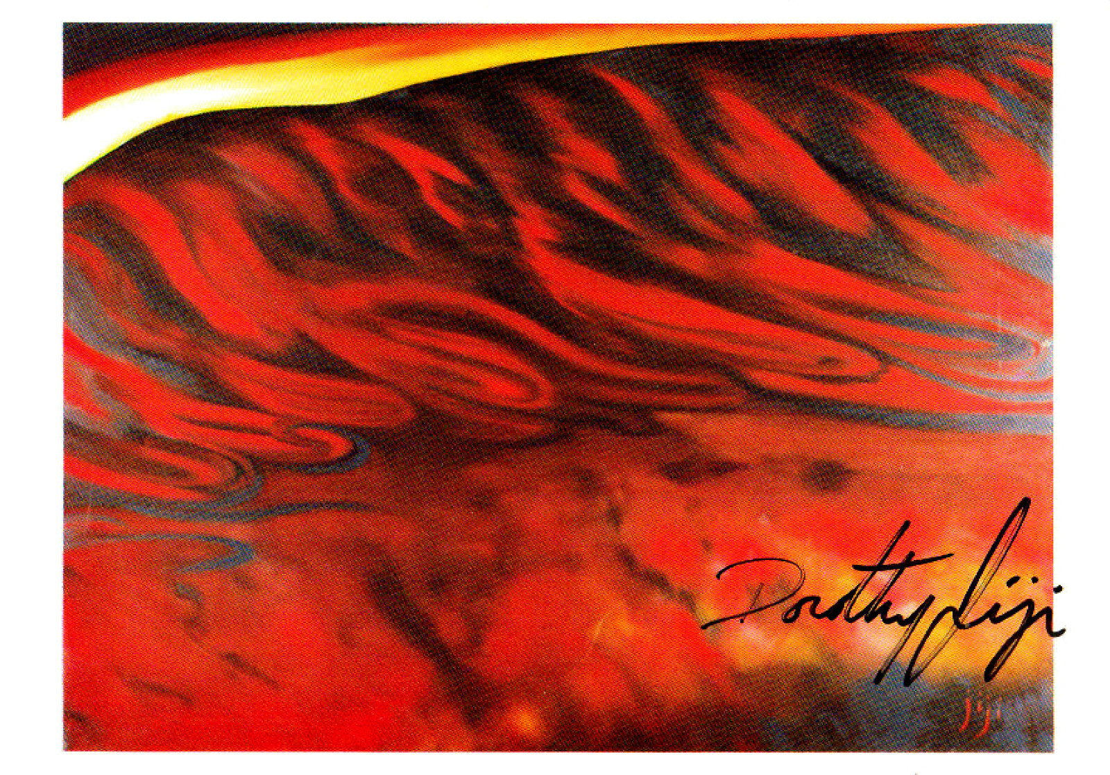 DOROTHY JIJI - Israeli Artist - Autograph Gallery Card