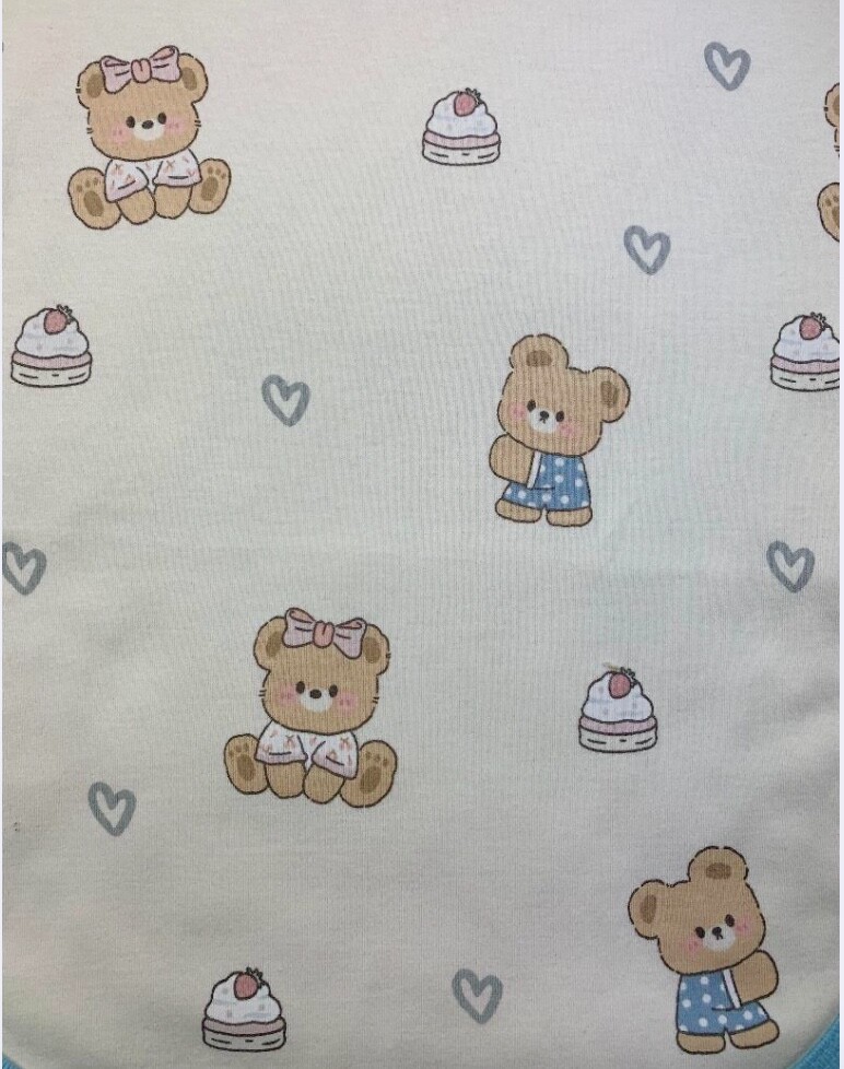 Adult briefs Baby Bear underpants