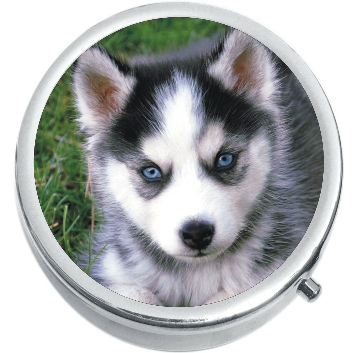 Husky Puppy Medicine Vitamin Compact Pill Box