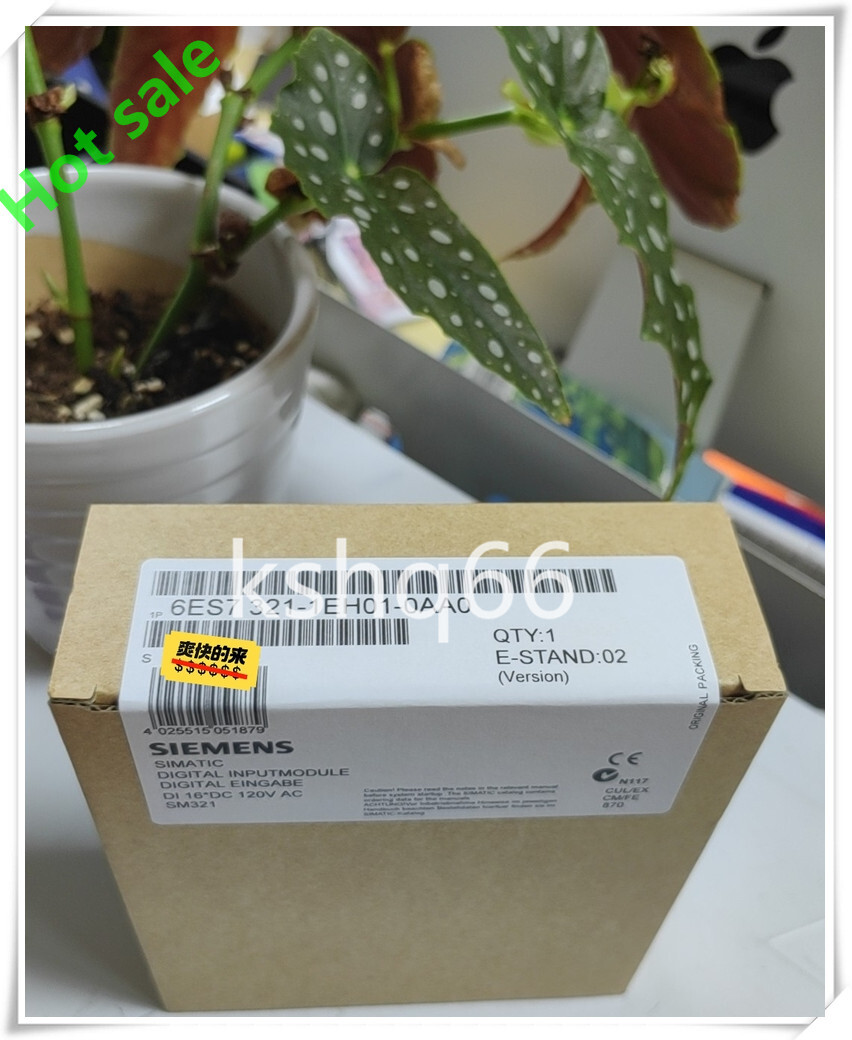 1P Siemens PLC 6ES7321-1EH01-0AA0 6ES7 321-1EH01-0AA0 Fast delivery