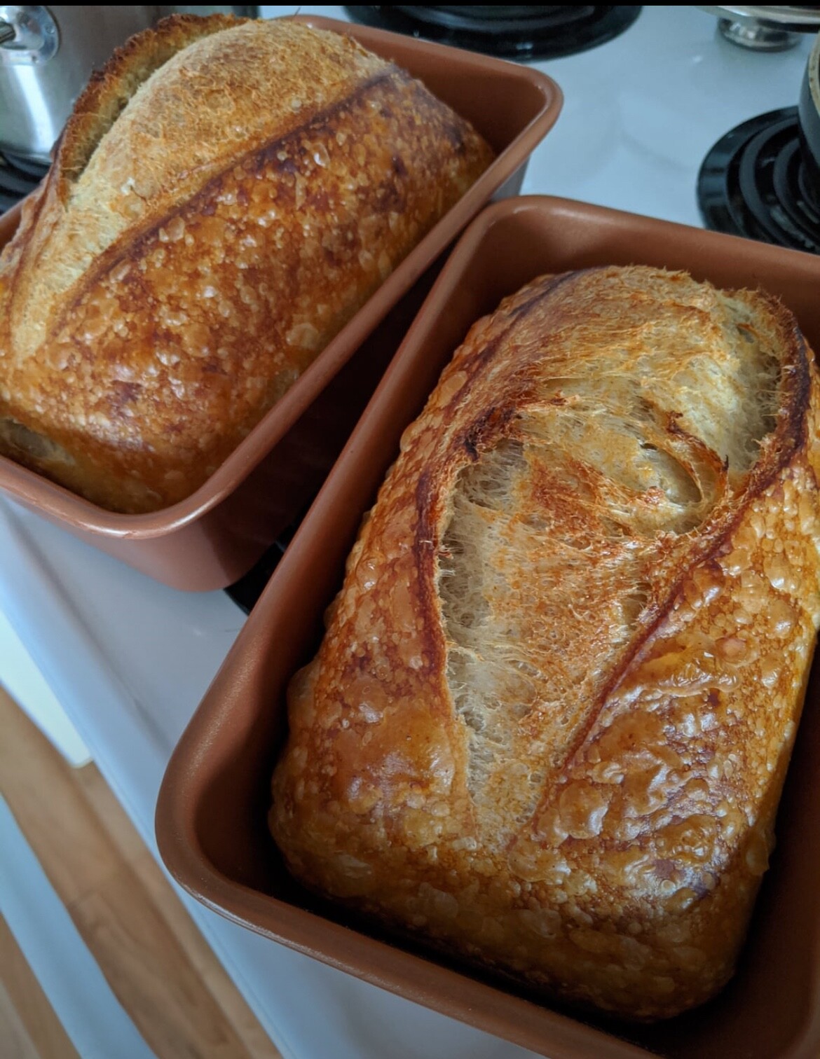 STRONG! Sourdough Starter Heritage San Francisco - Live 200yrs Old BEST SELLER!