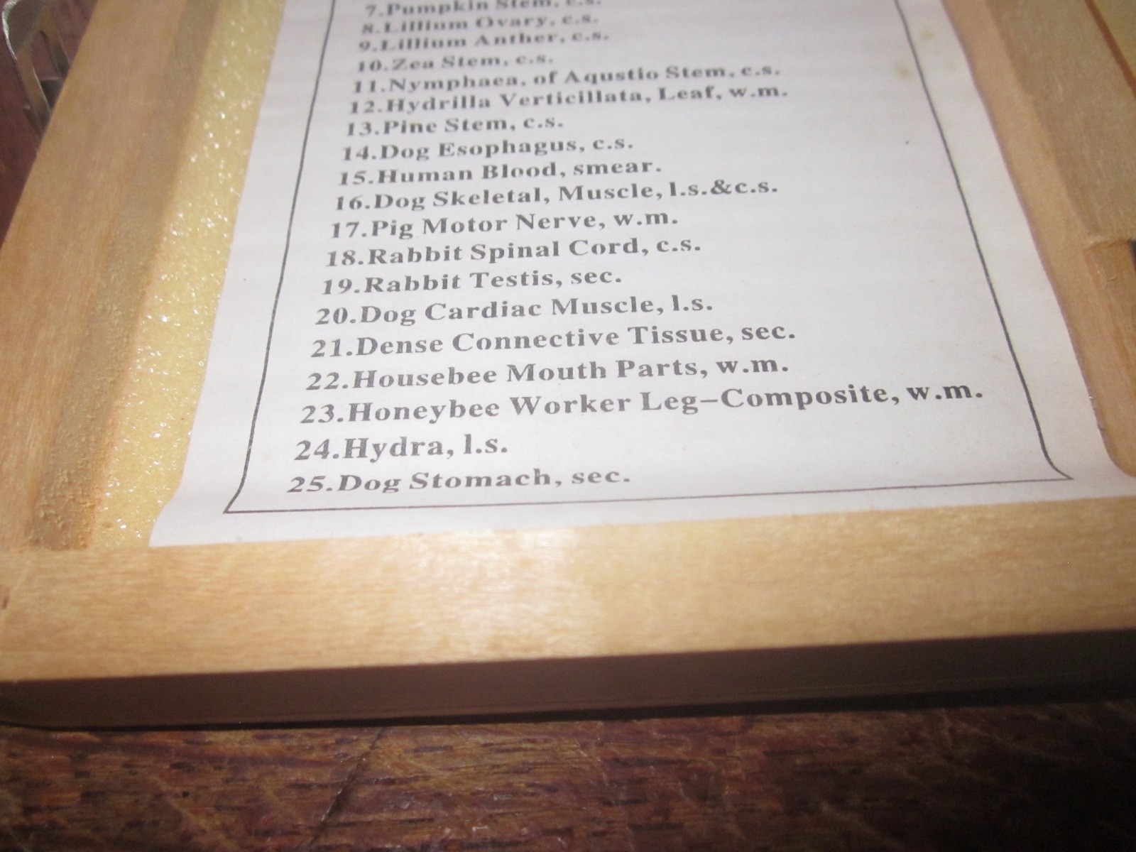 AmScope 25 PREPARED BIOLOGY MICROSCOPE SLIDES w/ Wooden Case