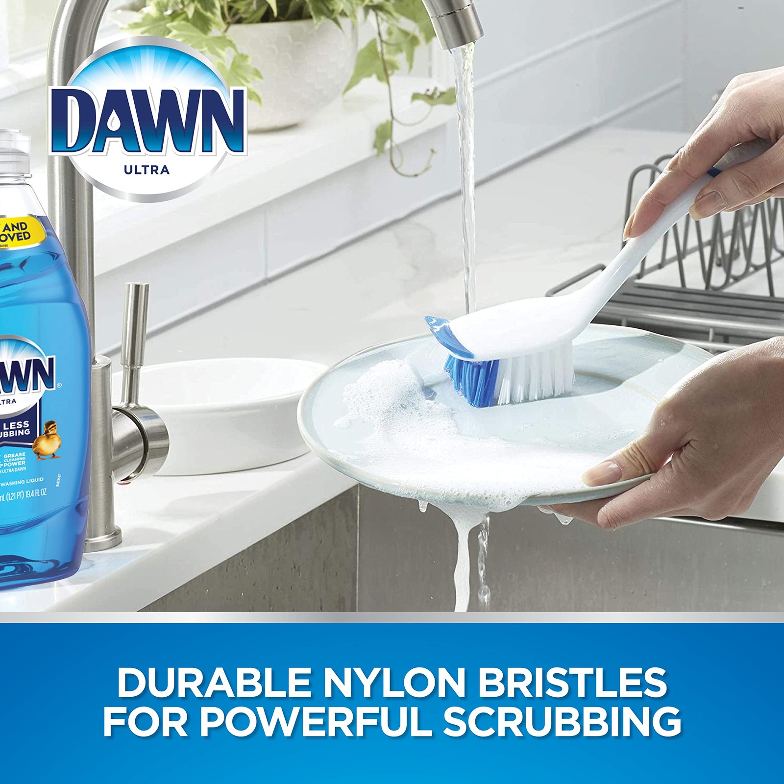 Dawn Dish Brush with Soft Nylon Bristles and Scraper, Blue/White 1 CT, Blue