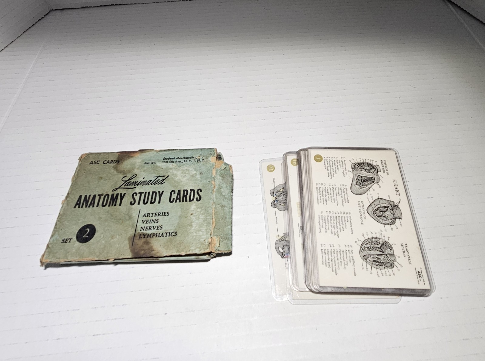 Vintage 1950's ASC Laminated Anatomy Study Cards Two Sided Cards Set 2