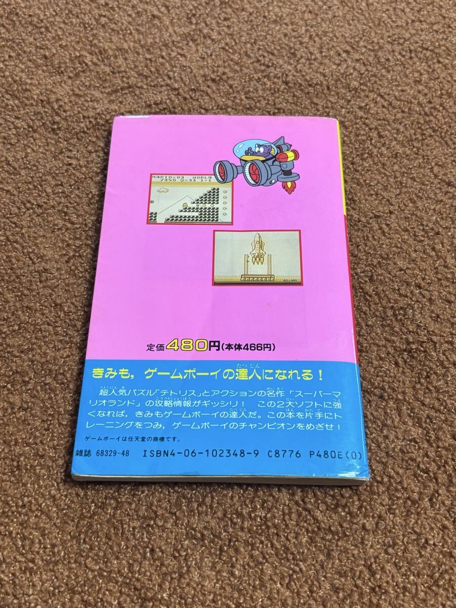 Boy Hissho Dojo 1 Tetr Mario L Strategy Comic