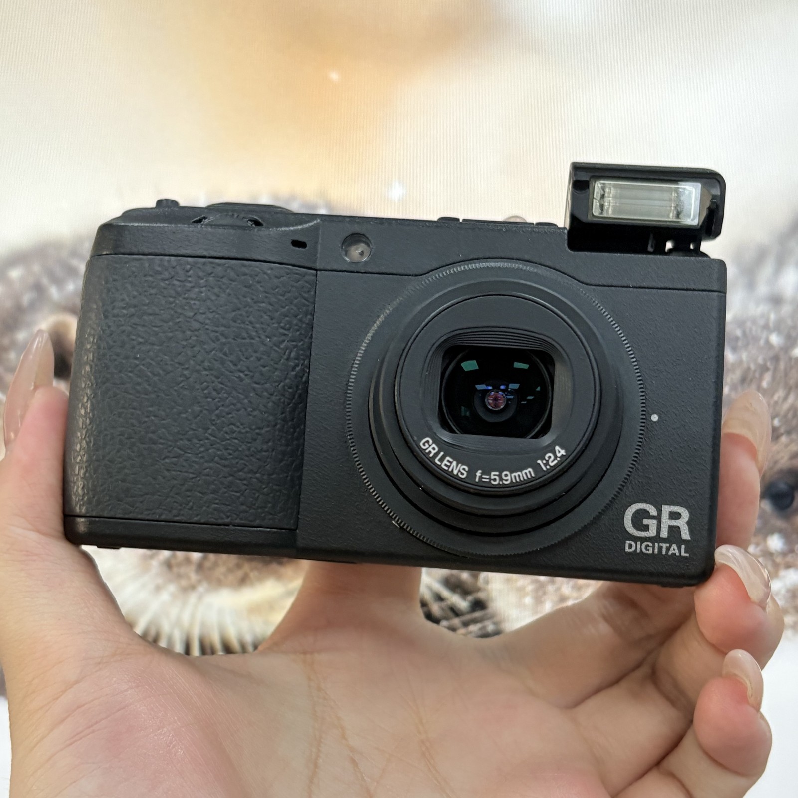 Ricoh GR Digital II GRD2 Compact Digital Camera Built-in Flash-95% New