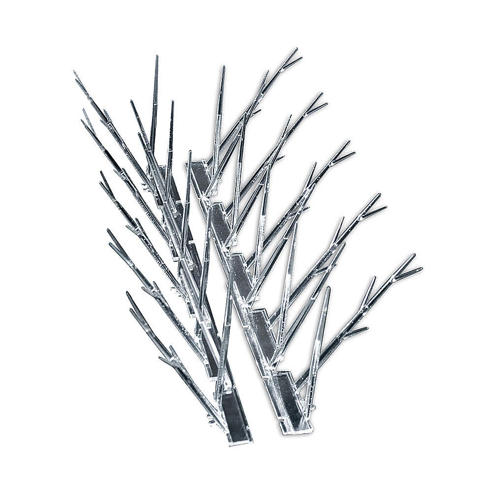 BIRD-X SP-50 Bird Repellent Spikes,50 ft L,6 1/2 in W 9Y575