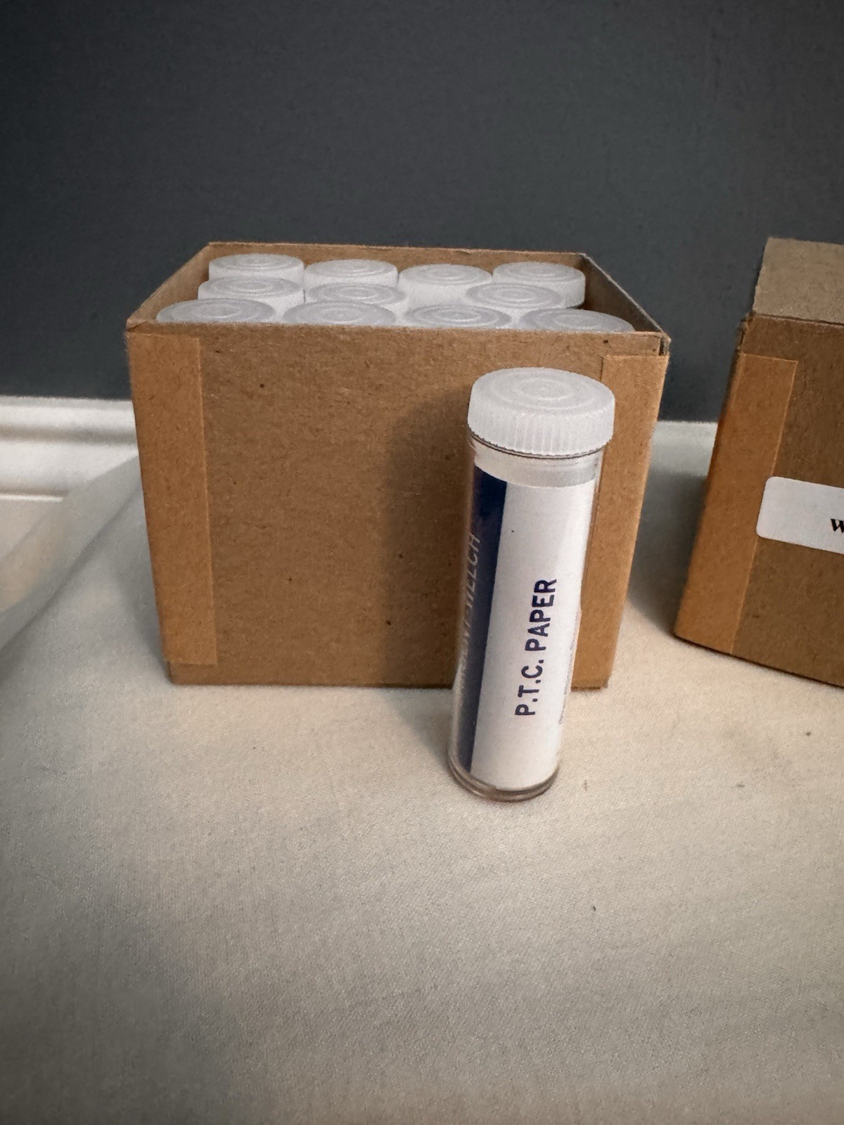 Phenylthiourea PTC Paper Strips for Genetic Taste Testing Box Of 12 100 Count ea