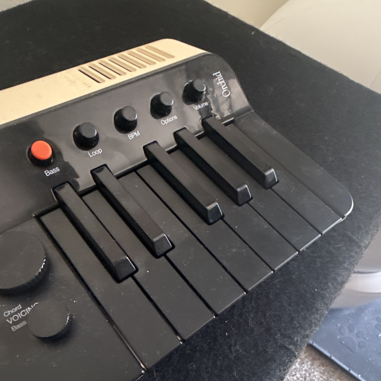 Orchid ORC-01 8-Key MIDI Keyboard Controller w/ Pads, USB-C, 1 Pedal Input