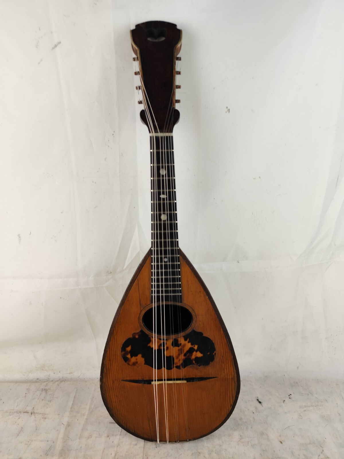 Mandolin 4/4 C. V. Carabba 1850 Catania 曼陀林 만돌린マンドリン