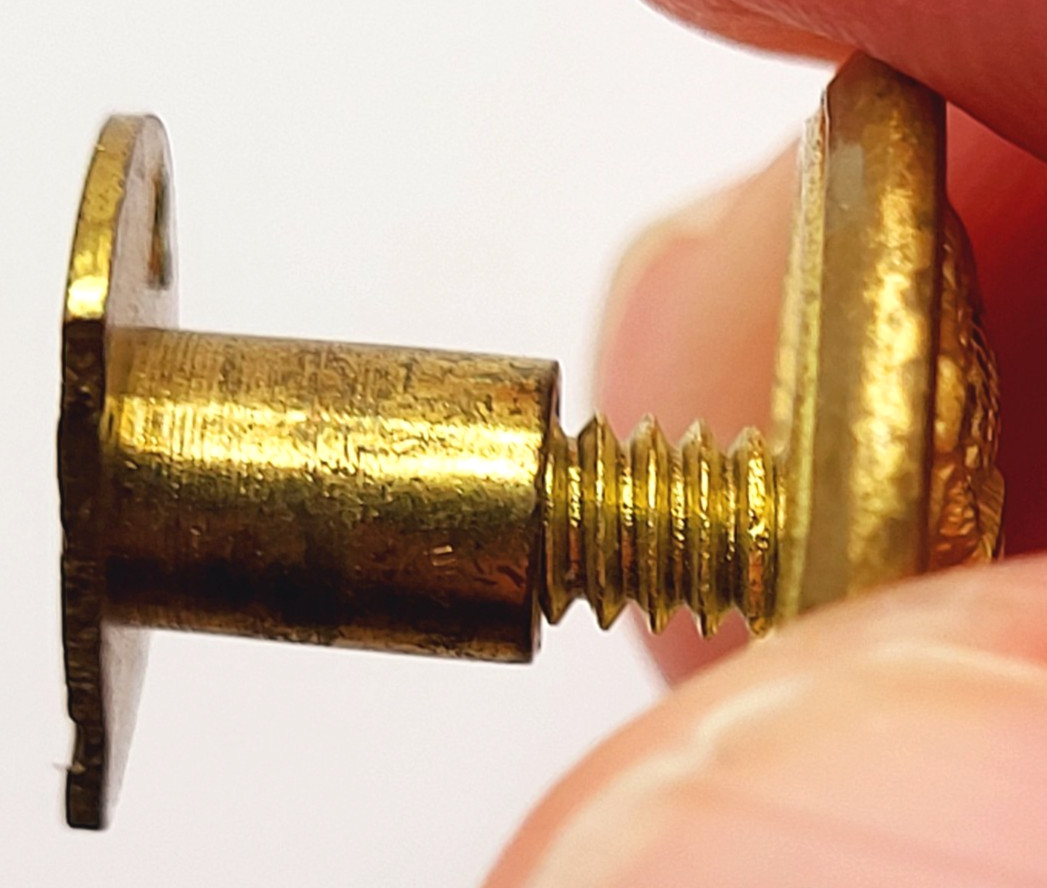 US Army Great Seal Screw Back Device Unmarked