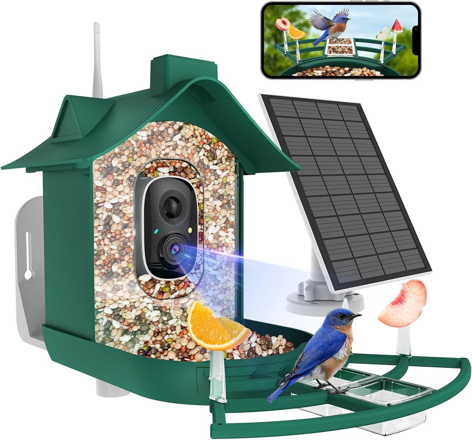 Cellular Smart Birdfeeder Cam, Built-in 4G LTE Sim Card, Solar Powered