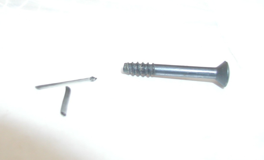 Daisy 1894 Western - Trigger Screw