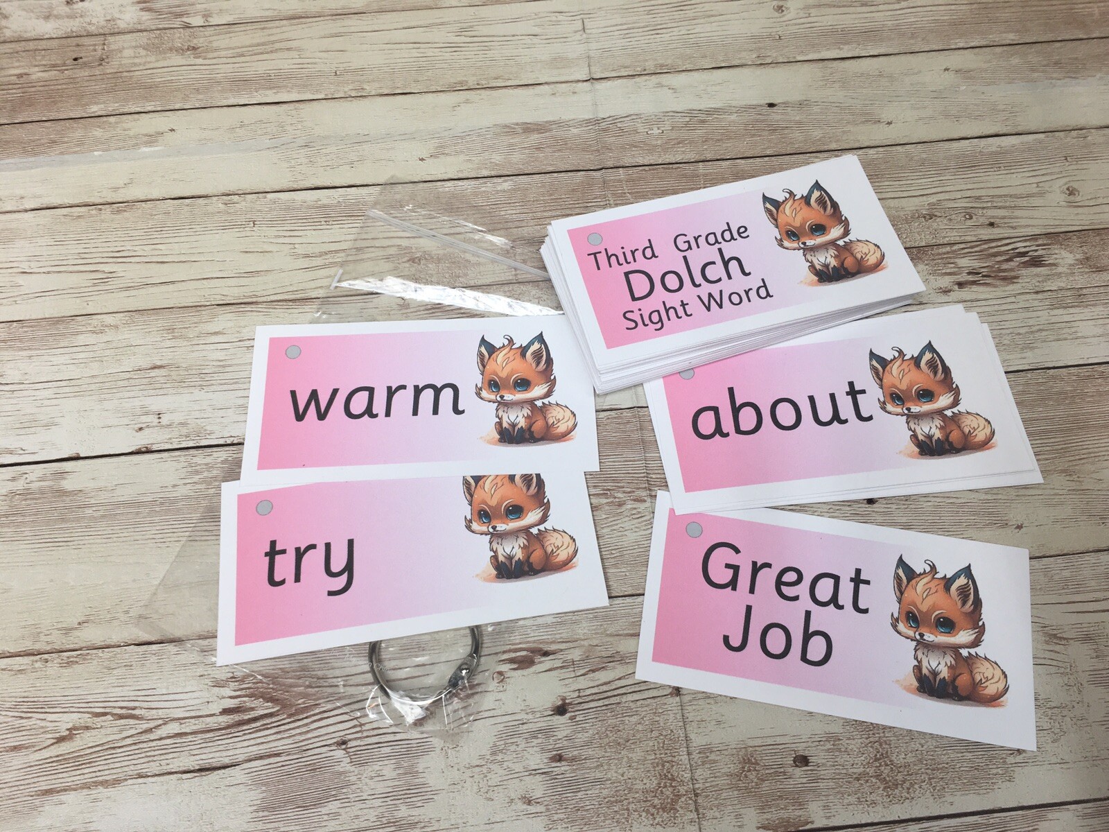 DIY PRINTED / UNCUT Literacy Learning Resource Dolch Third Grade Sight Word