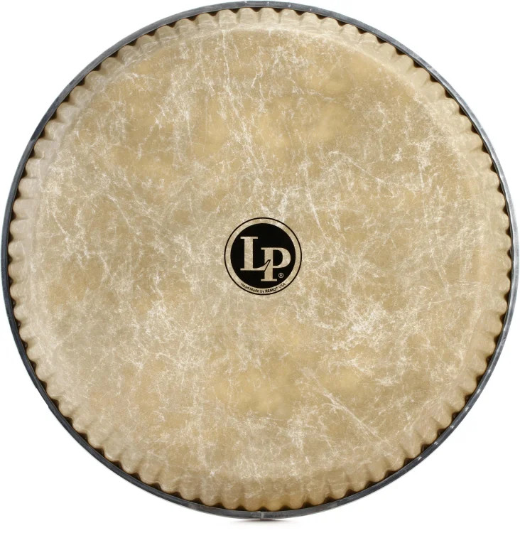 Latin Percussion Fiberskyn Conga Head - 11" - Quinto