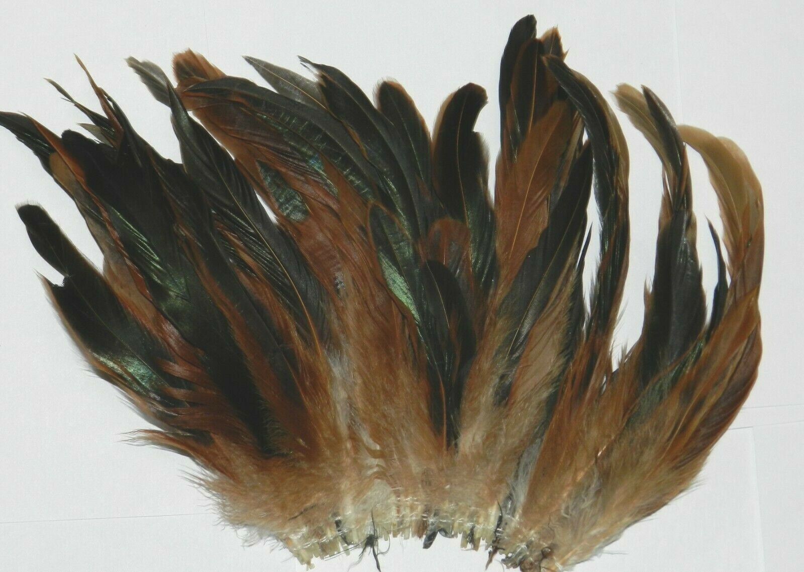 Nimrod's Tackle 50 HALF BRONZE ROOSTER TAIL FEATHERS FLY TYING MATERIAL Pick Sz