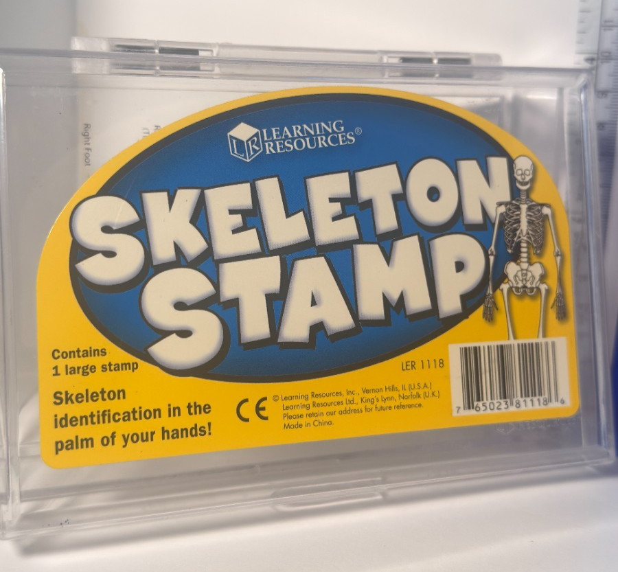 Learning Resources Skeleton Stamp Science Anatomy Classroom Homeschool