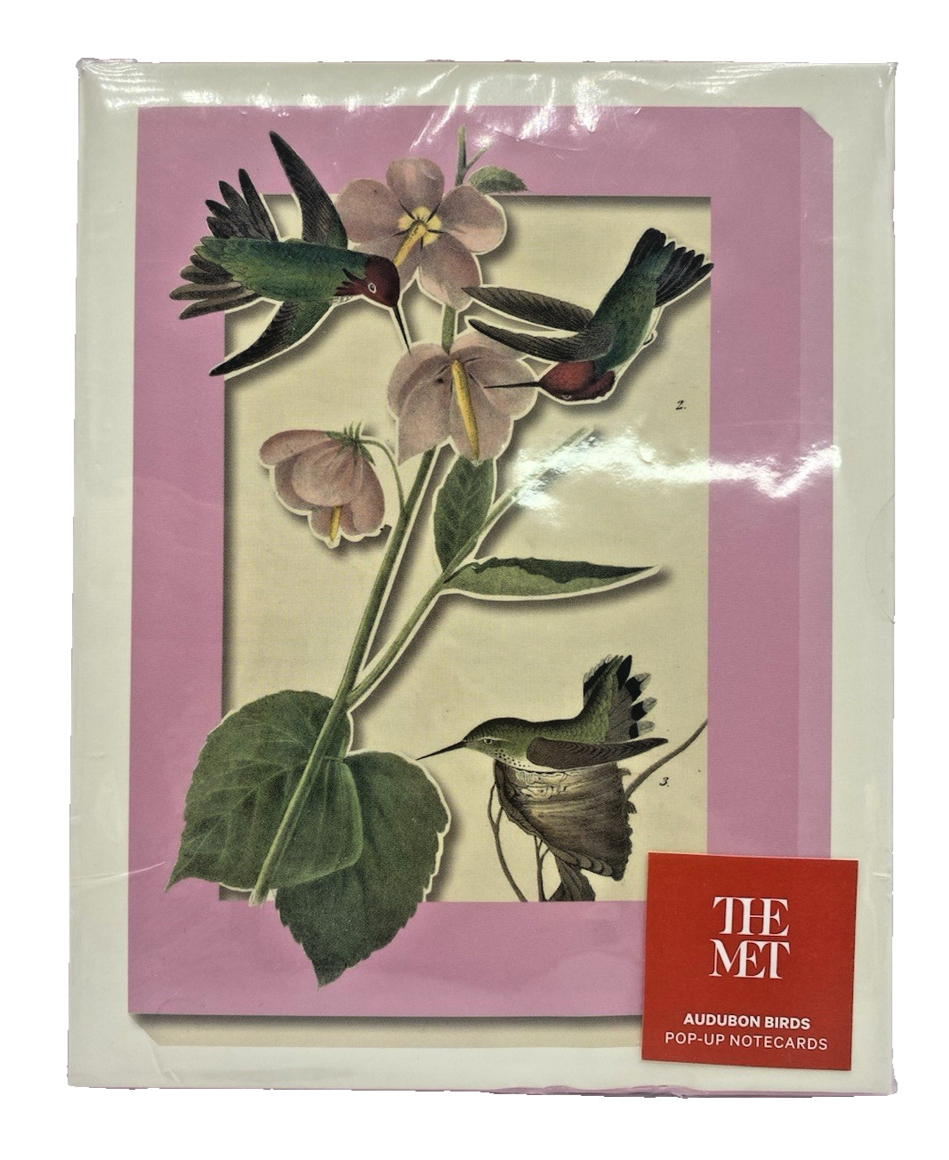 Metropolitan Museum of Art Audubon Birds Pop Up Notecards & Envelopes Set 8