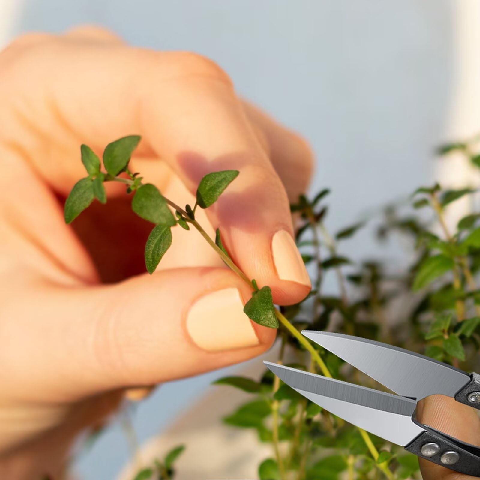 HAN-LBG 2 Pcs Bonsai Pruning Scissors for plants, Mini Small, Black&grey