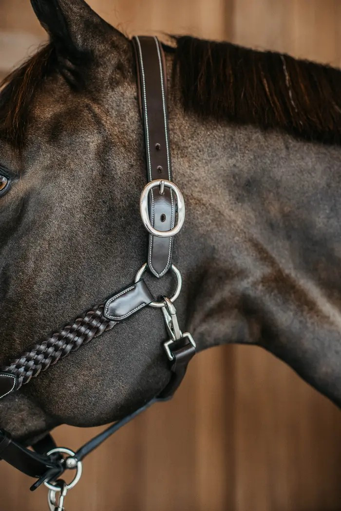 Dion WO Plaited Leather Halter