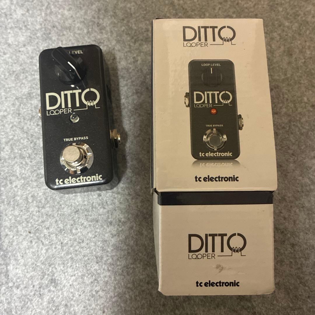tc electronic DITTO LOOPER