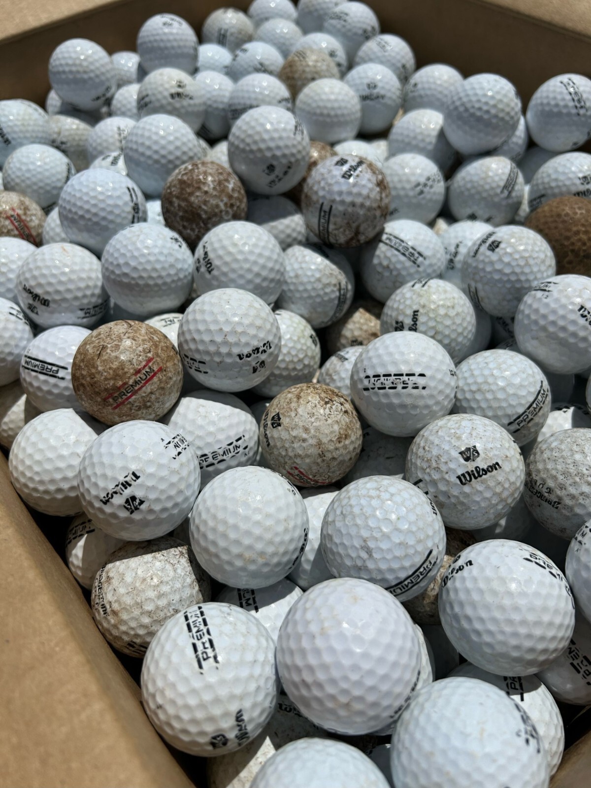 300 Range Practice Golf Balls D Grade Practice Shag Golf Balls FREE SHIPPING