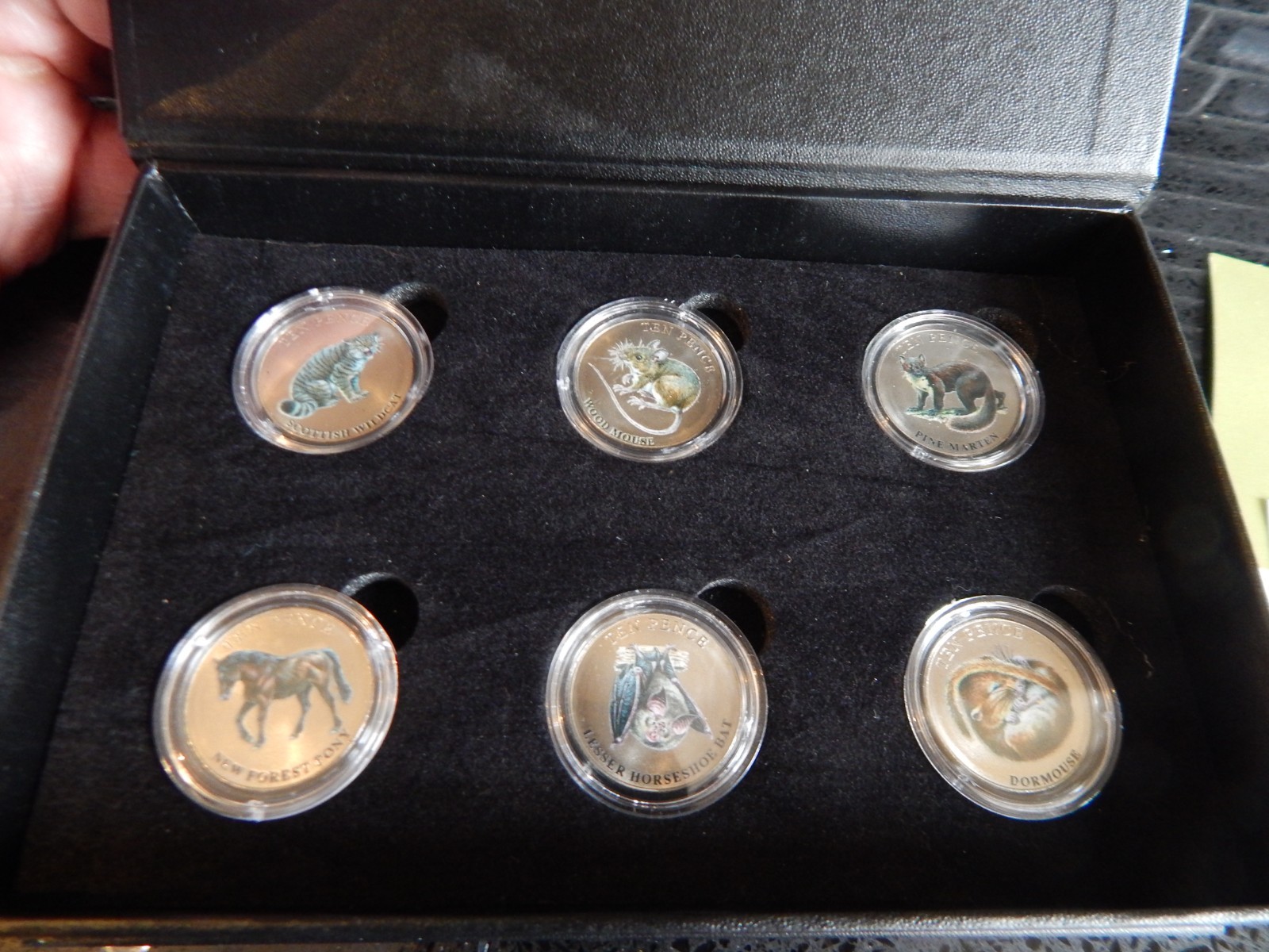 COINS UK MINT SET 6 10p COINS WILDLIFE SERIES UNCIRULATED IN BOX  WITH C O A