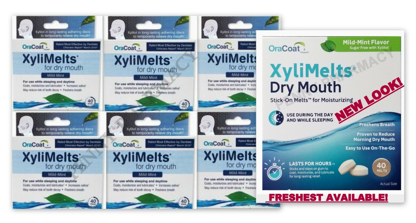Xylimelts Dry Mouth MILD MINT 40ct ( 6 pack ) NEW LOOK  ^^