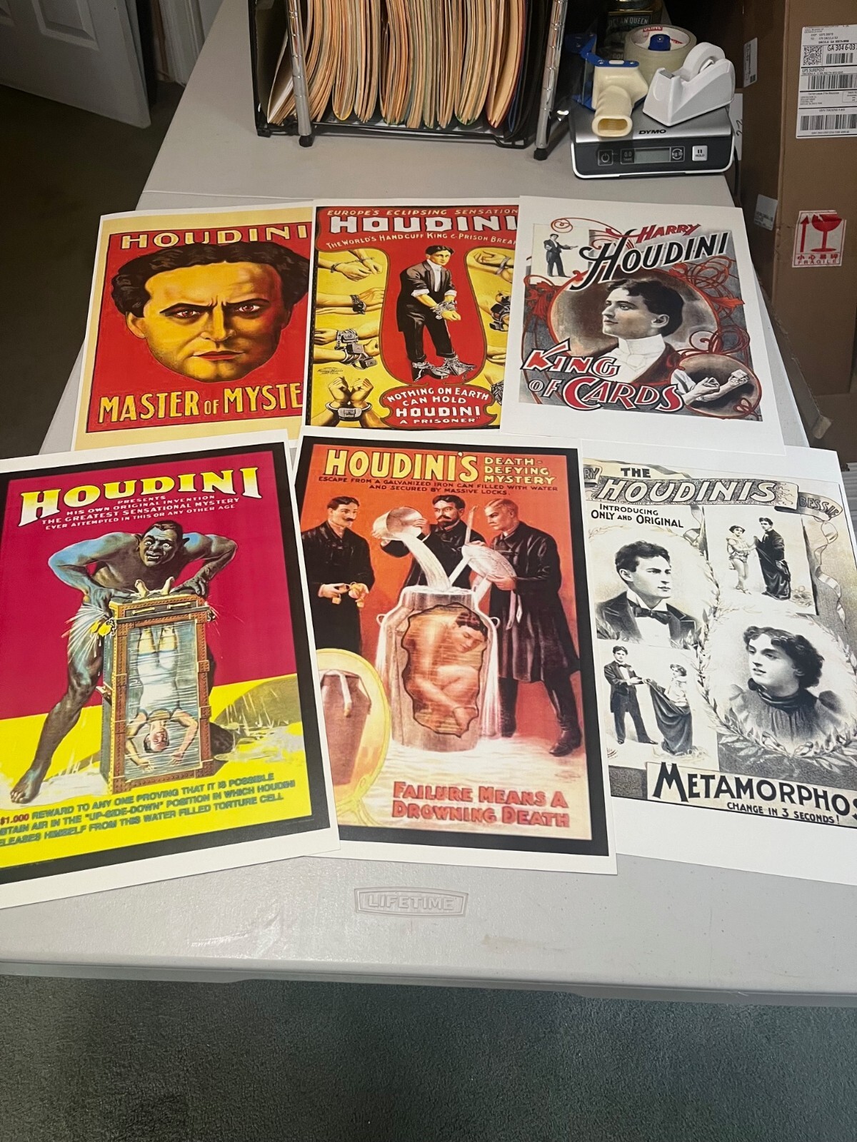Harry Houdini Reprinted Posters 11x17, Set of 6, You Get All Six! What a Deal!