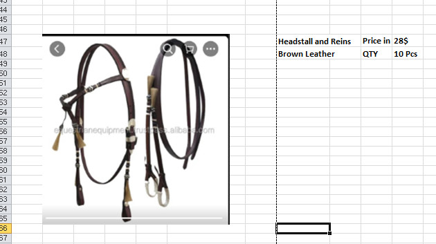 SET OF ROMAL REINS FOR CHINA ONLY (10 SETS)