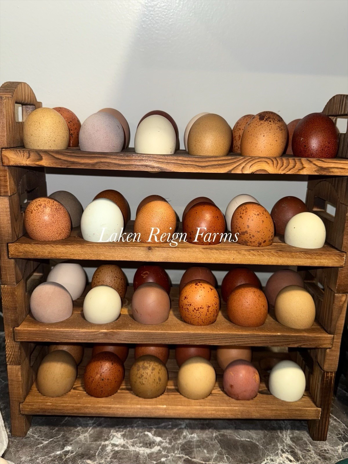 12 Rainbow Hatching Eggs Blooms, Speckles, NPIP/AI