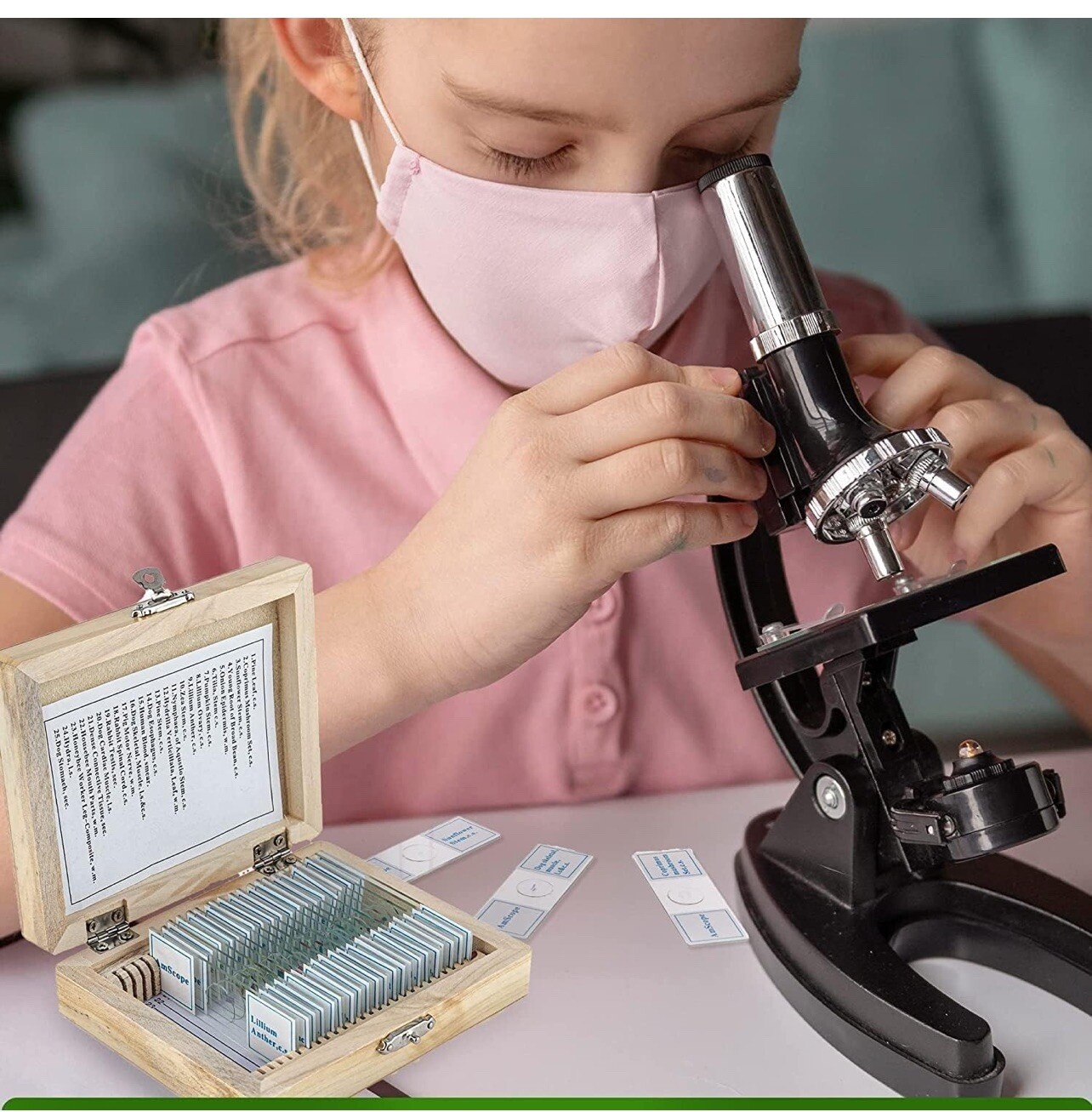 AmScope 25 Glass Prepared Microscope Slides with Wooden Box