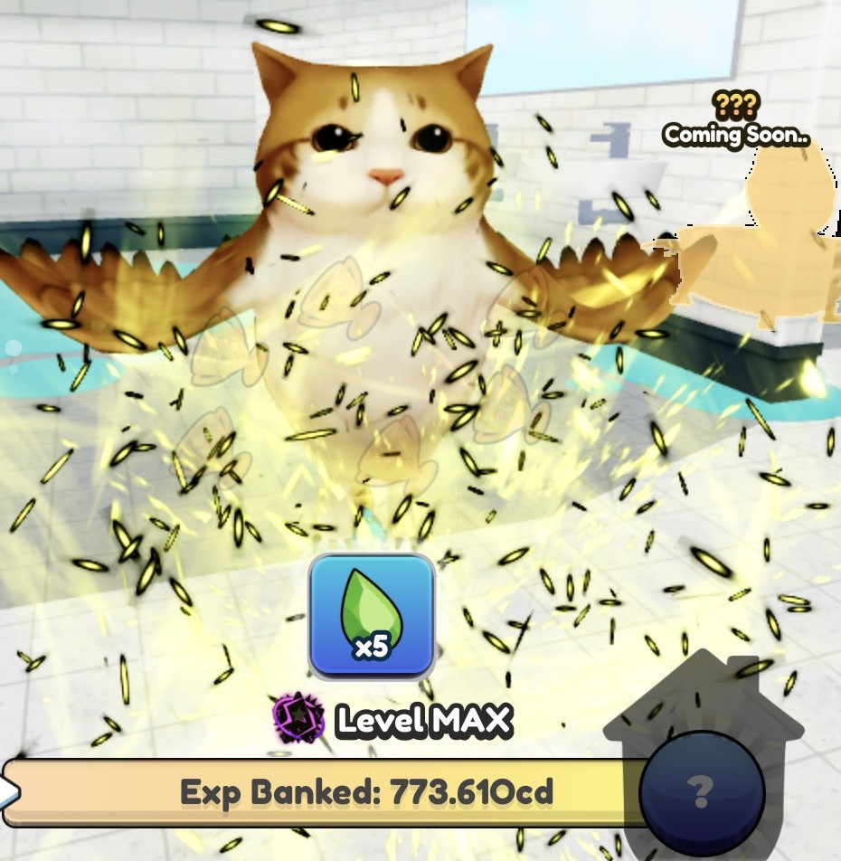 Brainrot Evolution | Rare Meowl Secret - 50Qa Damage 380% Brainrot
