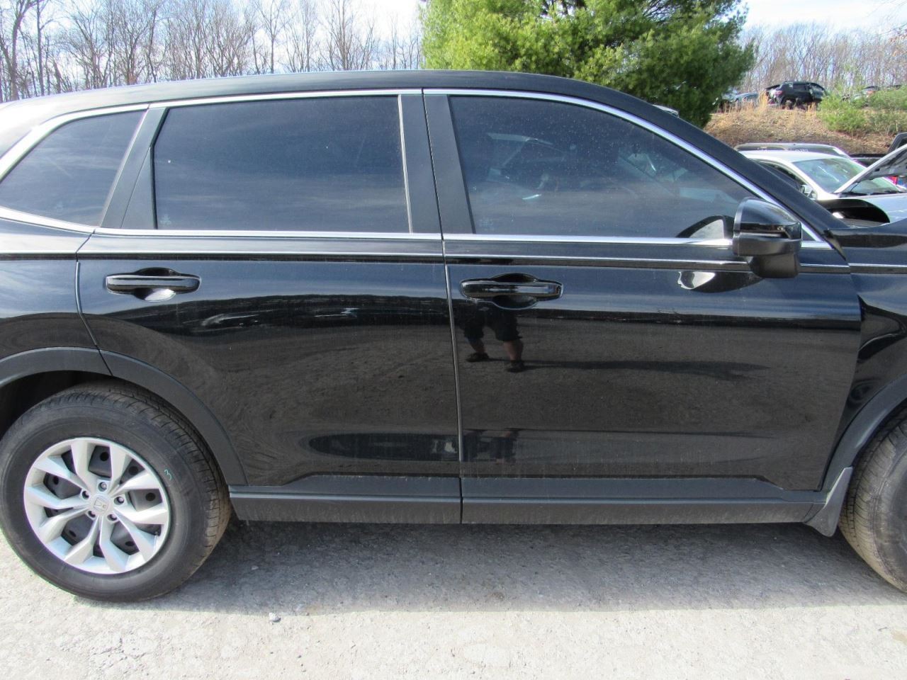 CR-V 2024 Glove Box 1036439