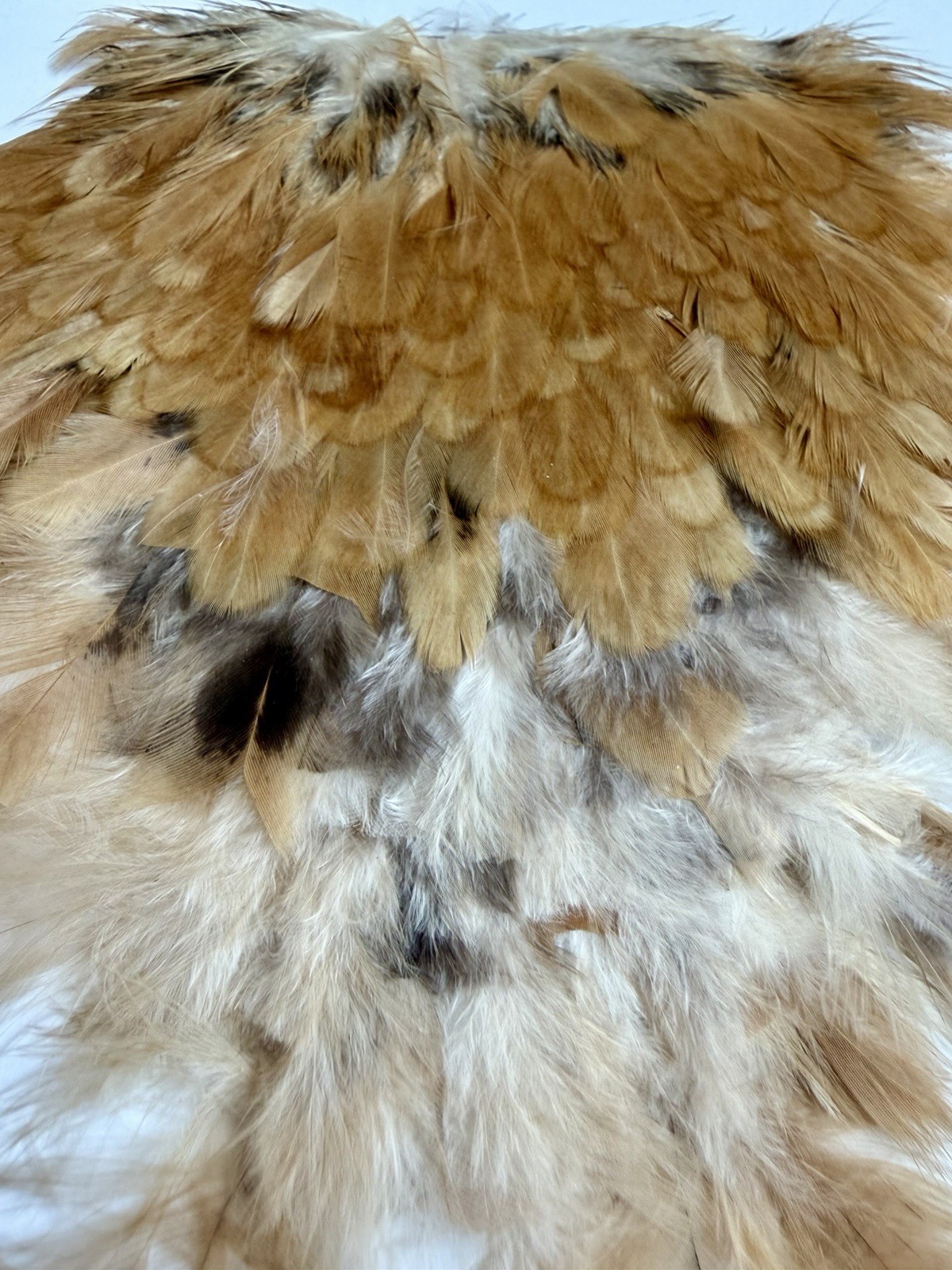 Hareline Strung Guinea Feathers Natural 592-E-L