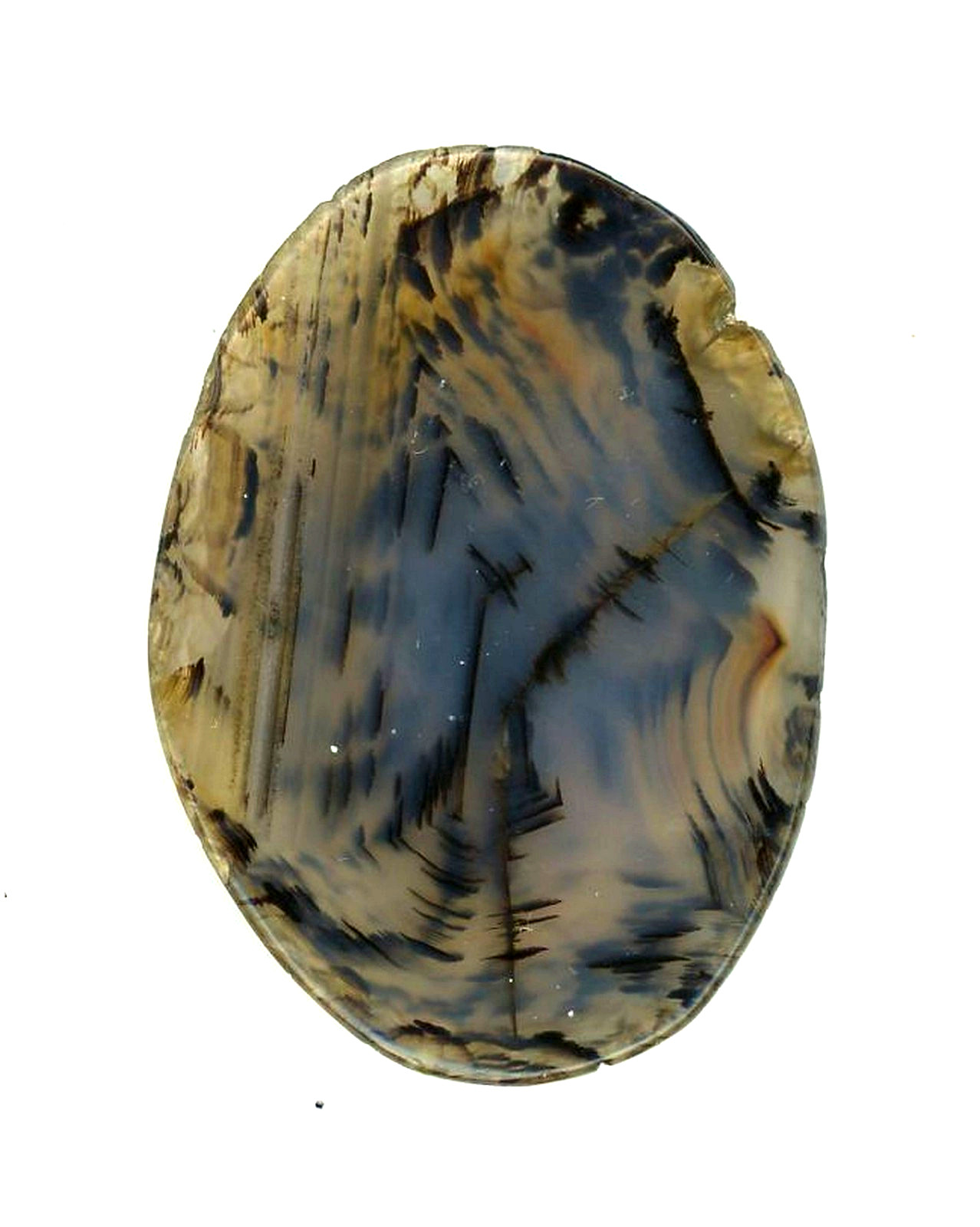 Beautiful Agate Slice 2 1/8" x 1  1/2" x 3/8" One Side Polished