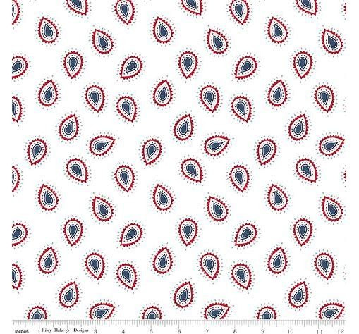 American Beauty Paisley C14442-WHITE By Dani Mogstad For Riley Blake Fabric--