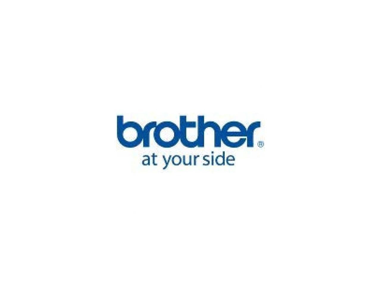 PREMIUM FANFOLD LETTER SIZE - 20 YEAR ARCHIVEABILITY 100 SHEET STACK