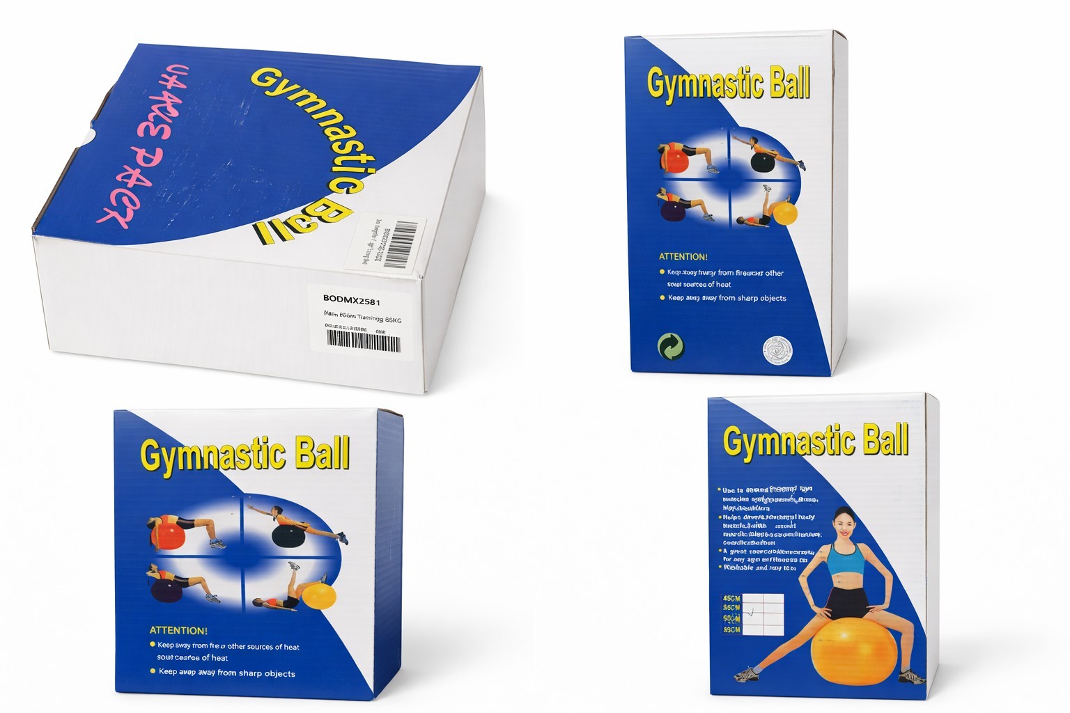 Gymnastic Ball 65cm Exercise Fitness Balance Gymnastic with Air Pump