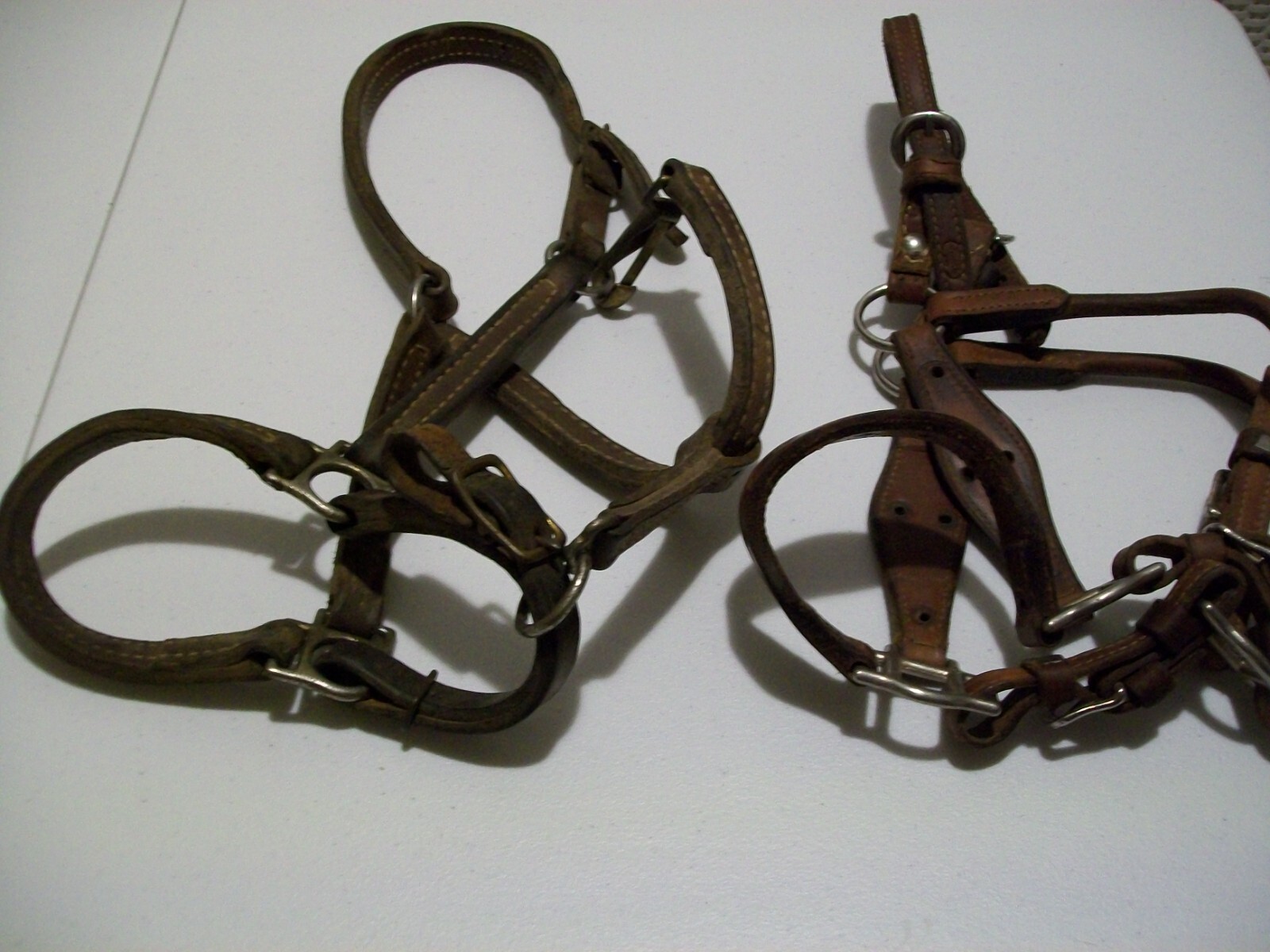Halters lot  horse equine tack english Western Saddle leather equestrian show