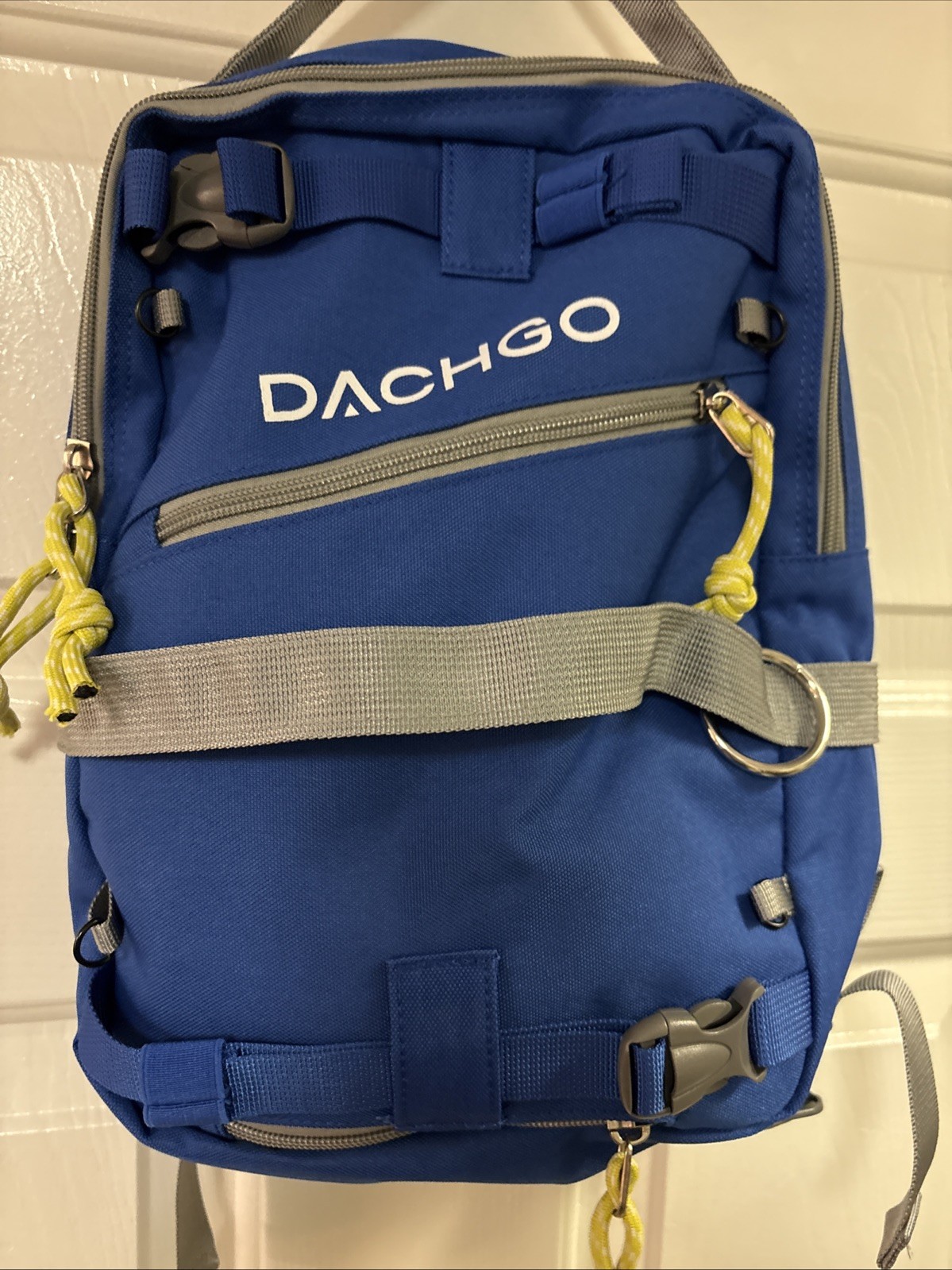 Dachgo Ski and Snowboard Harness with Leash for Kids: Teach Your Child The Fu