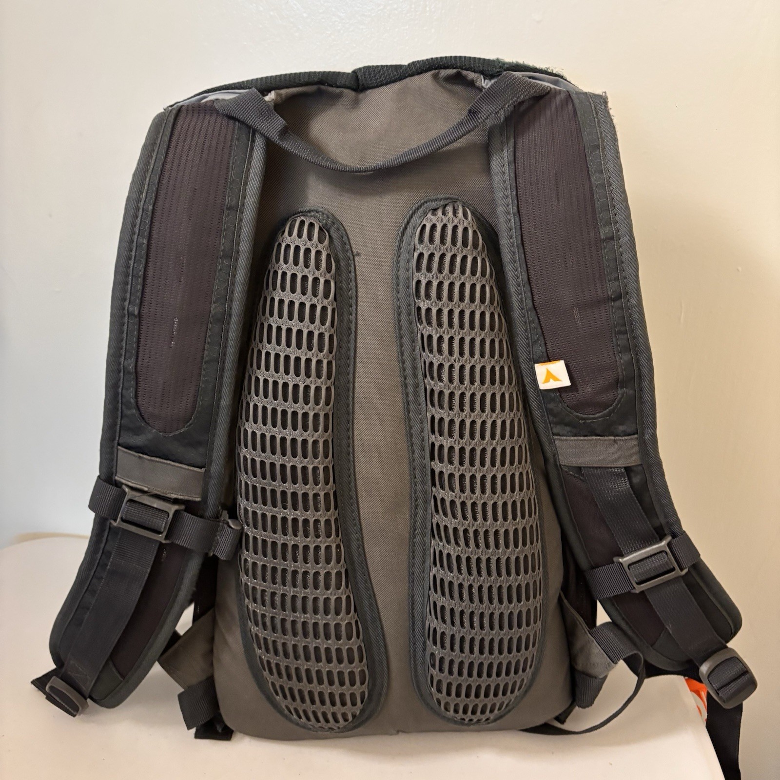TETON Oasis Hydration Backpack Hydration Pack w/ Raincover - No Bladder